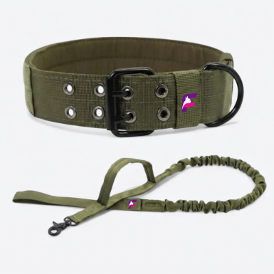 French Bulldog Outdoor Tactical Collar & Leash Set | Frenchie MOLLE Walk Set