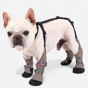 French Bulldog Adjustable Boots & Harness Set | Frenchie Waterproof Combo