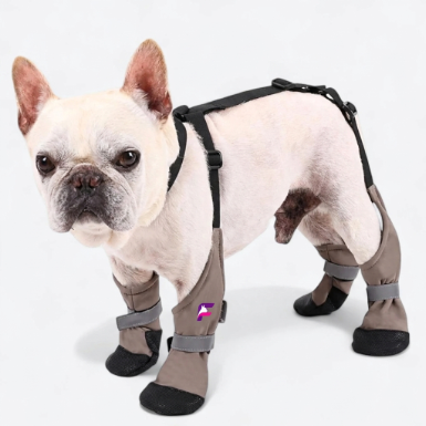 French Bulldog Adjustable Boots & Harness Set | Frenchie Waterproof Combo