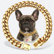 French Bulldog Cuban Link Chain Collar | Frenchie Gold Plated Necklace