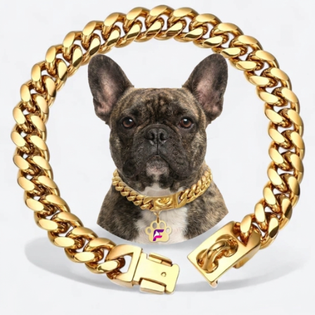 French Bulldog Cuban Link Chain Collar | Frenchie Gold Plated Necklace