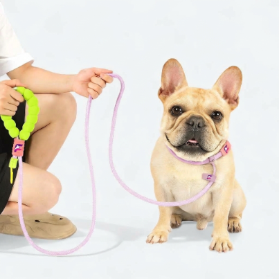 French Bulldog Cloud Bubble Leash | Frenchie Adjustable Comfort Leash