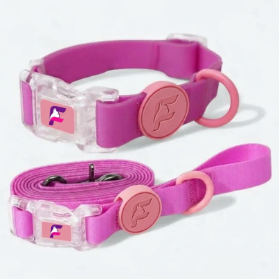 French Bulldog Waterproof Collar & Leash Set | Frenchie EVA Silicone Set