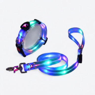 French Bulldog LED Luminous Collar & Leash Set | Frenchie Glow Walk Set