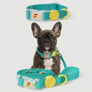 French Bulldog Waterproof Collar & Leash Set | Frenchie EVA Silicone Set