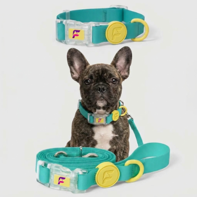 French Bulldog Waterproof Collar & Leash Set | Frenchie EVA Silicone Set