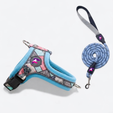 French Bulldog Soft Saddle Harness & Leash Set | Frenchie Padded Saddle Set