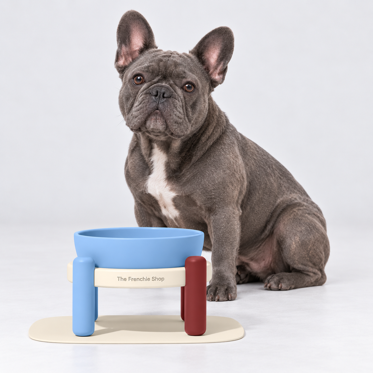 Blue & Cream Raised Ceramic French Bulldog Bowl Set — m