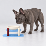 Blue & Cream Raised Ceramic French Bulldog Bowl Set — s
