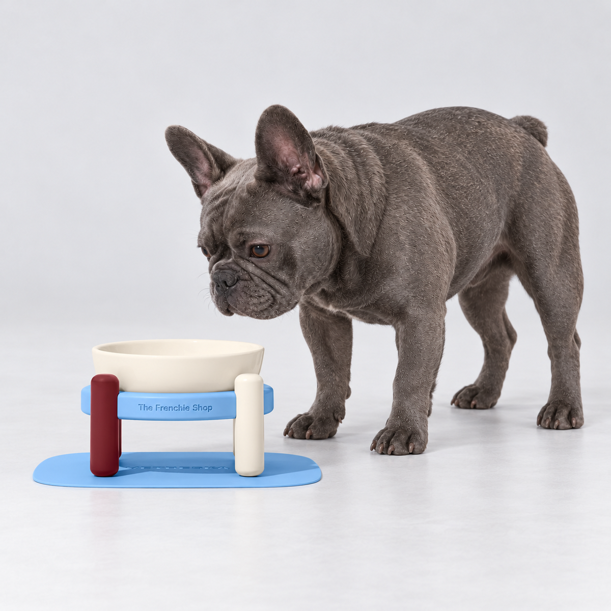 Blue & Cream Raised Ceramic French Bulldog Bowl Set — s