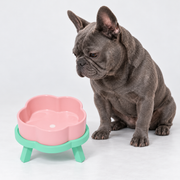 Flower Ceramic French Bulldog Bowl with Raised Stand — main