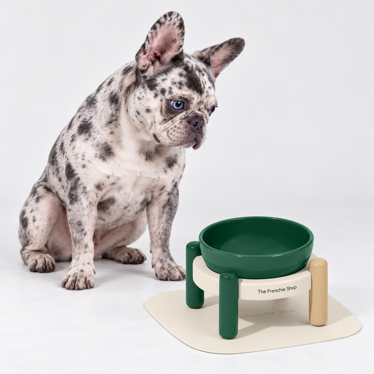Forest Raised Ceramic French Bulldog Bowl Set — s