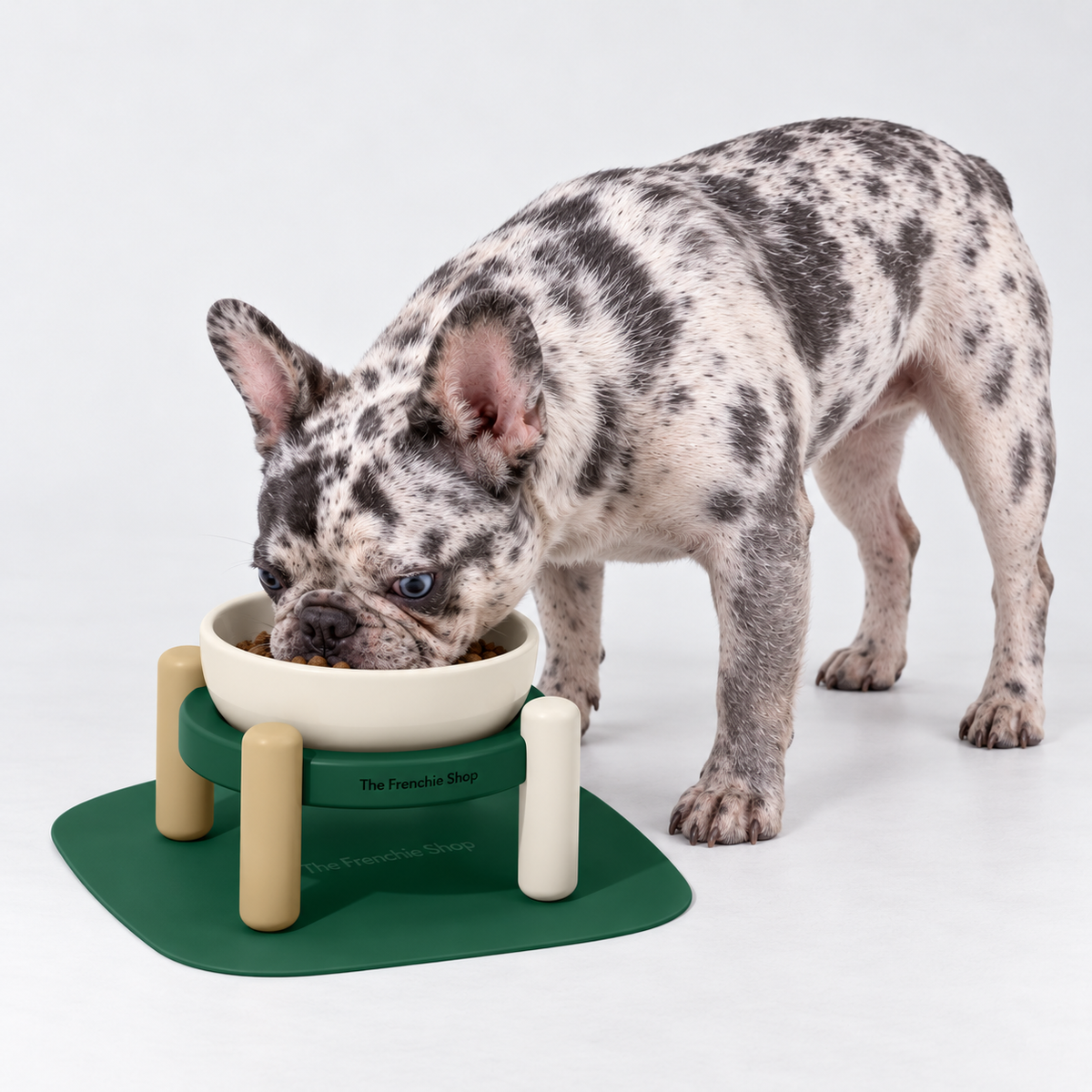 Forest Raised Ceramic French Bulldog Bowl Set — m
