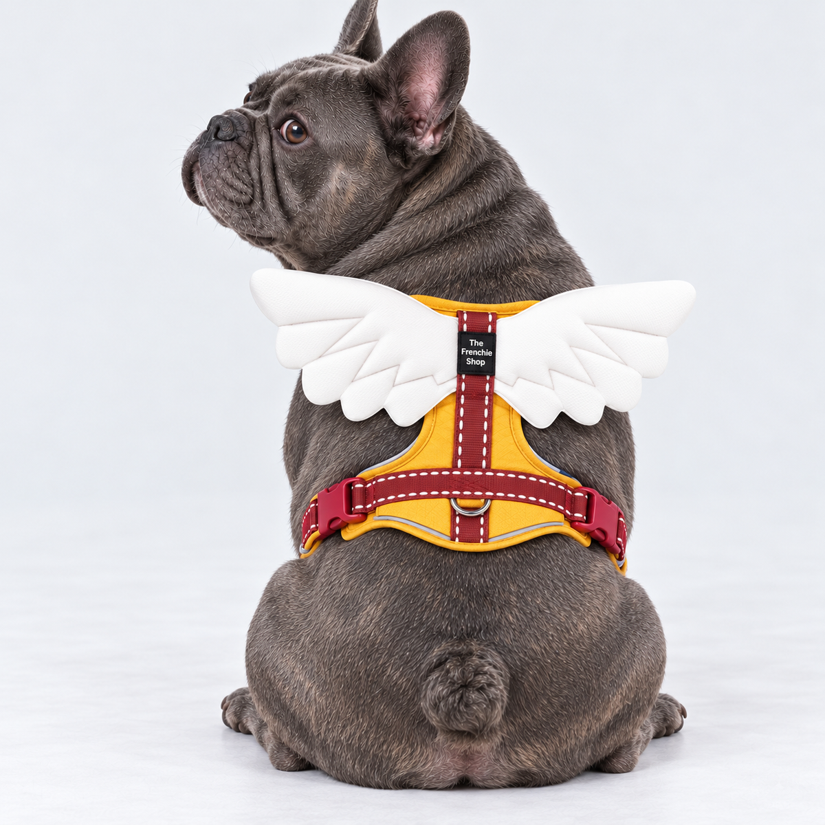 Winged French Bulldog harness — yellow v2