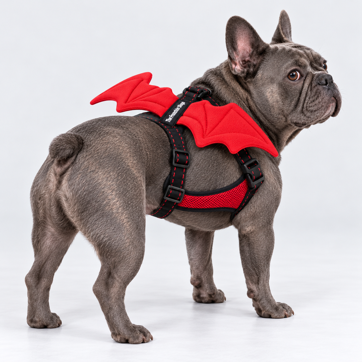 Winged French Bulldog harness — black