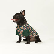 French Bulldog Wool Sweater | The Frenchie Shop Custom Print Cozy Knit