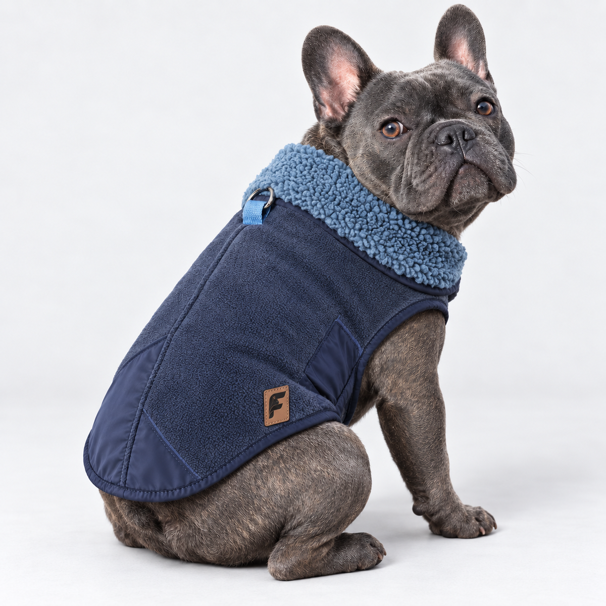 Fleece French Bulldog Winter Jacket — Blue product photo
