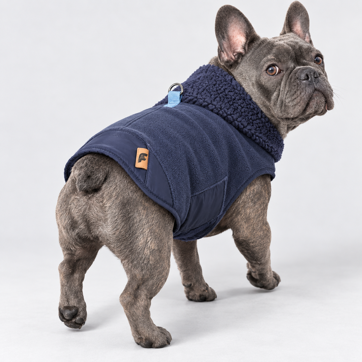Fleece French Bulldog Winter Jacket — Navy product photo
