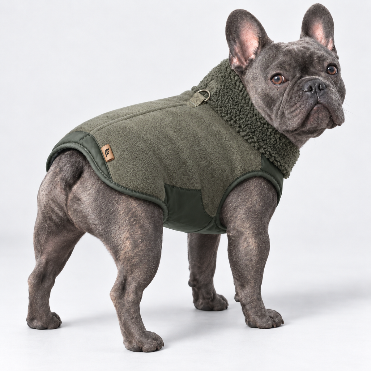 Fleece French Bulldog Winter Jacket — Olive product photo