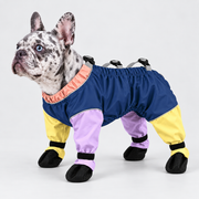 Four-Leg French Bulldog Protective Pants & Boot Covers — Purple Yellow - Four-Leg Covers — Frenchie wearing product