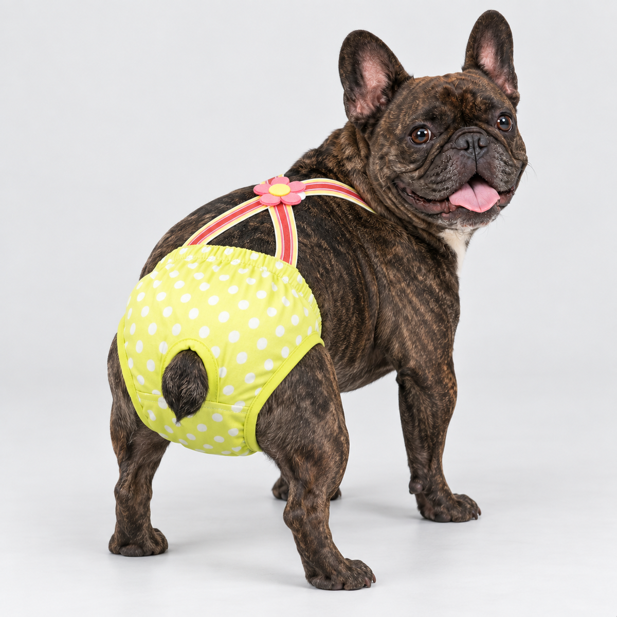 French Bulldog Sanitary Pants - Adjustable Printed Suspenders Green Animals Yellow Dot