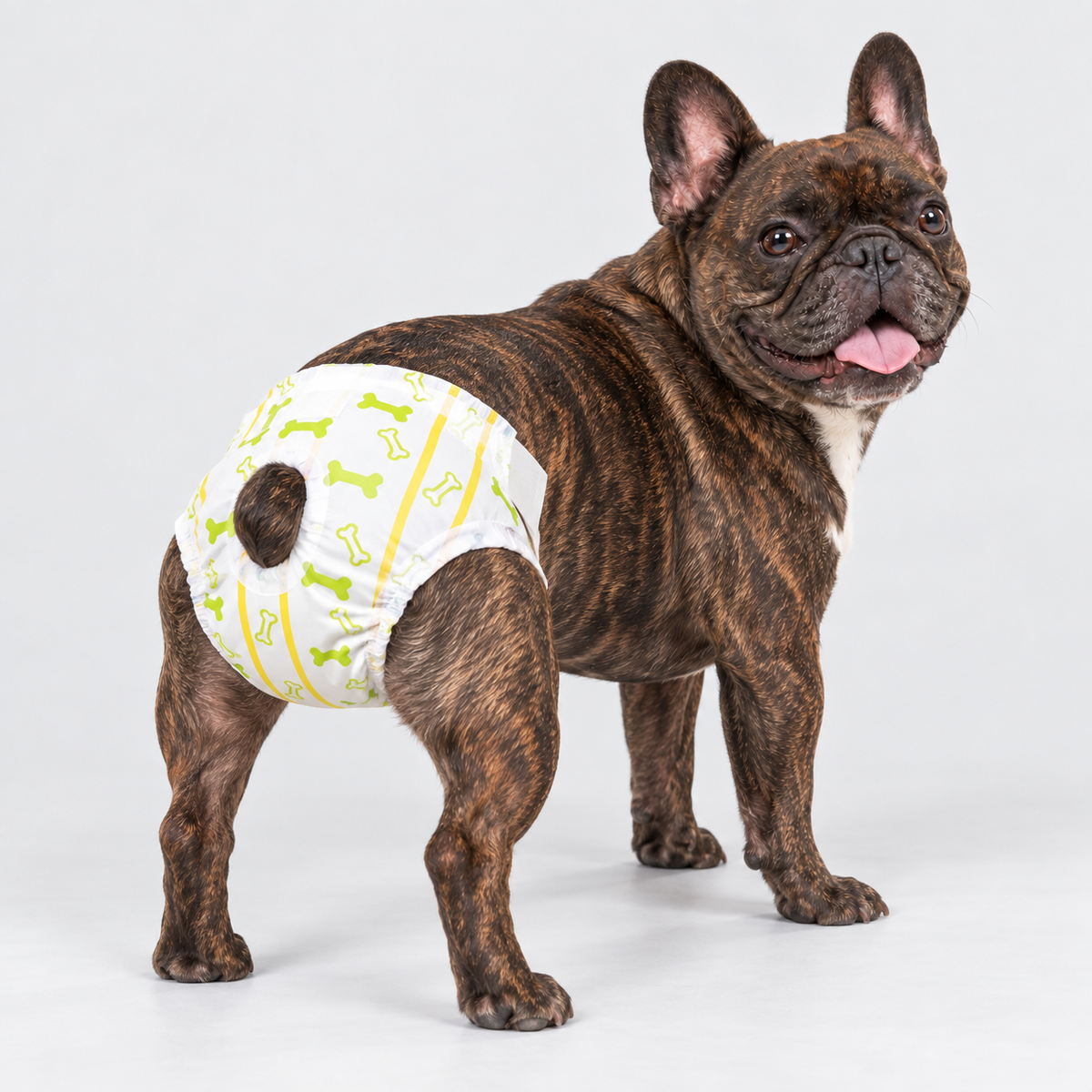 Female French Bulldog Disposable Diapers - 10 Pack 