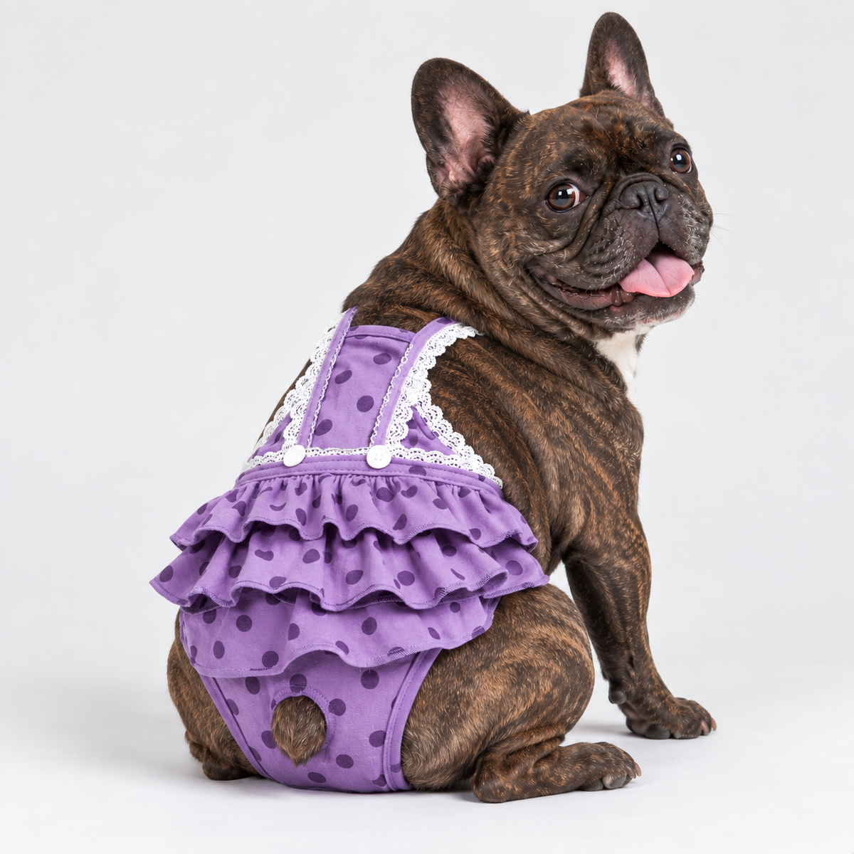 French Bulldog Washable Diaper Dress - Ruffled Dot Print Purple