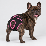 French Bulldog Adjustable Diaper Shorts - Contrast Trim Black