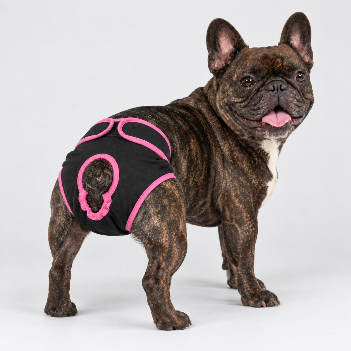French Bulldog Adjustable Diaper Shorts - Contrast Trim Black