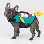 blue-gray French Bulldog wearing French Bulldog Summer Life Jacket with Rescue Handle on light gray studio background