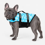 blue-gray French Bulldog wearing French Bulldog Lightweight Reflective Life Jacket on light gray studio background