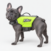 blue-gray French Bulldog wearing French Bulldog Adjustable Reflective Life Jacket on light gray studio background