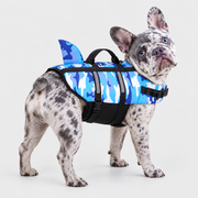merle French Bulldog wearing French Bulldog Patterned Shark-Fin Life Jacket on light gray studio background