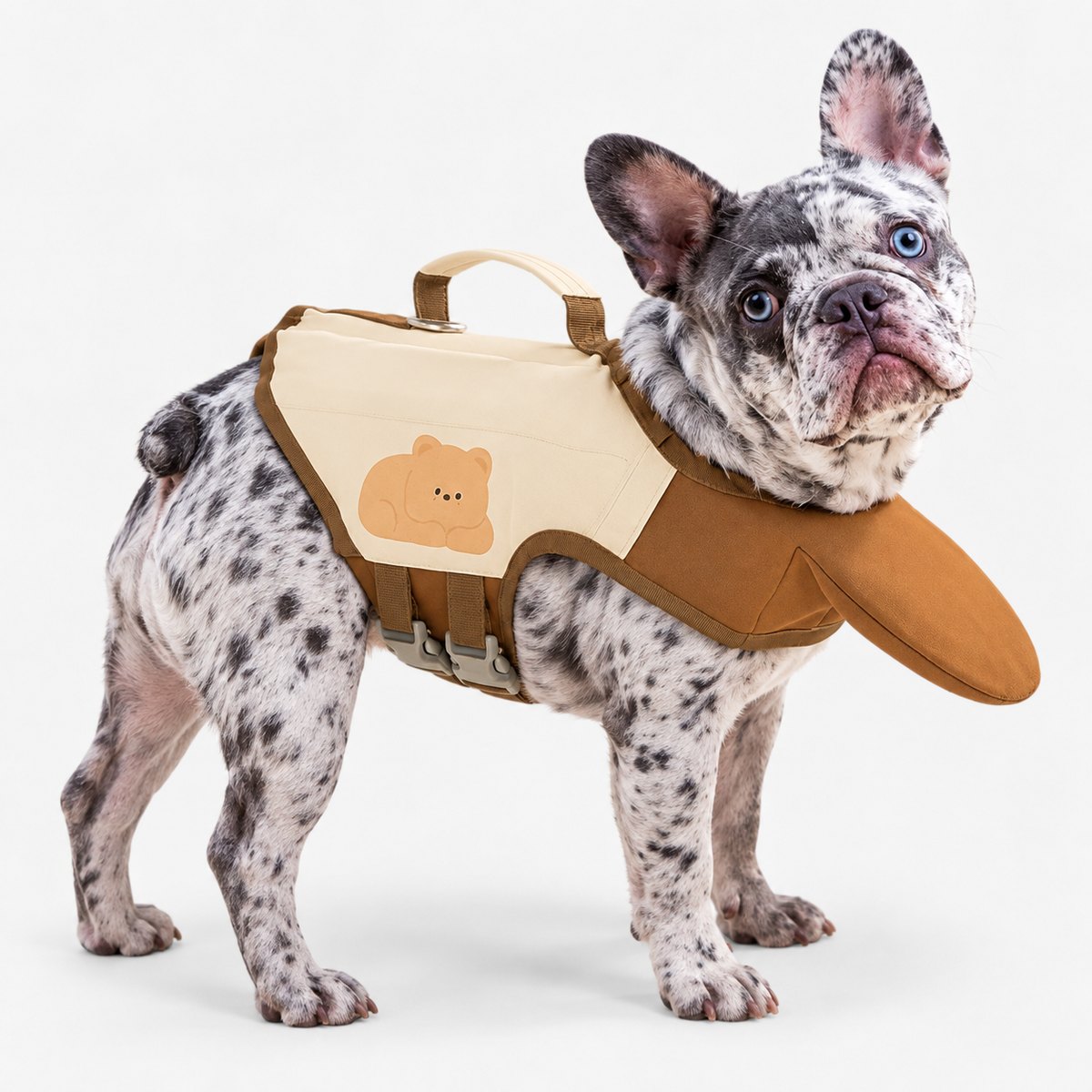 merle French Bulldog wearing PawBuoy French Bulldog Life Vest with Chin Support on light gray studio background