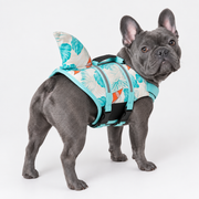 blue-gray French Bulldog wearing French Bulldog Sailboat-Print Shark Life Vest on light gray studio background