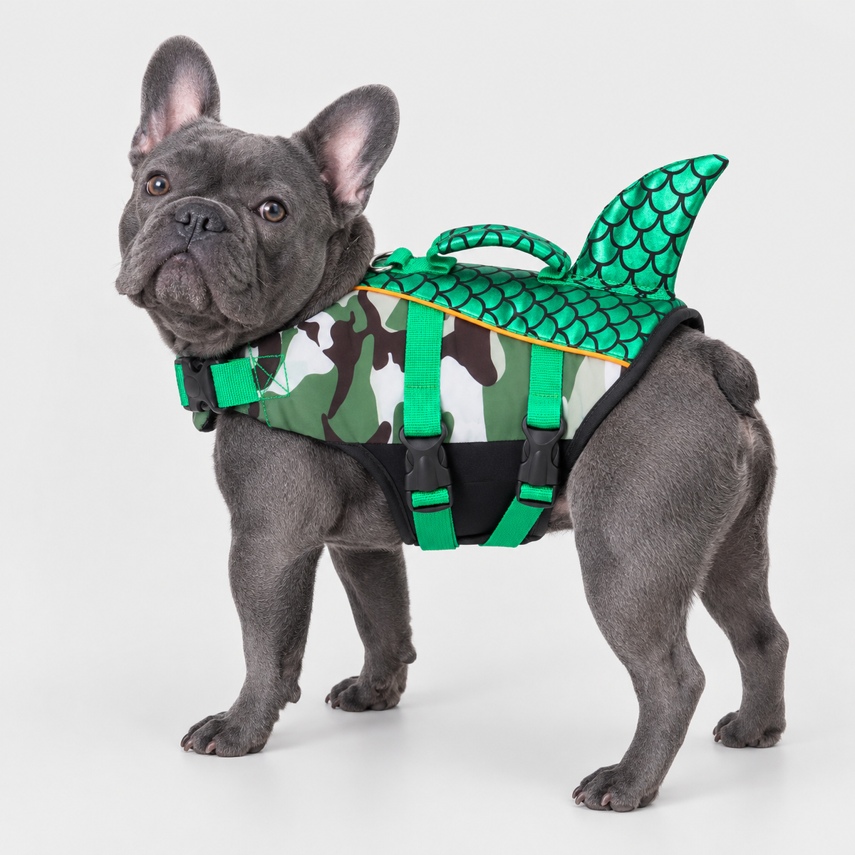 blue-gray French Bulldog wearing French Bulldog Reflective Scales Life Jacket on light gray studio background
