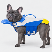 blue-gray French Bulldog wearing French Bulldog Penguin Life Jacket on light gray studio background