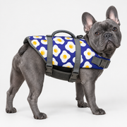 blue-gray French Bulldog wearing French Bulldog Printed Life Vest with Reflective Strips on light gray studio background