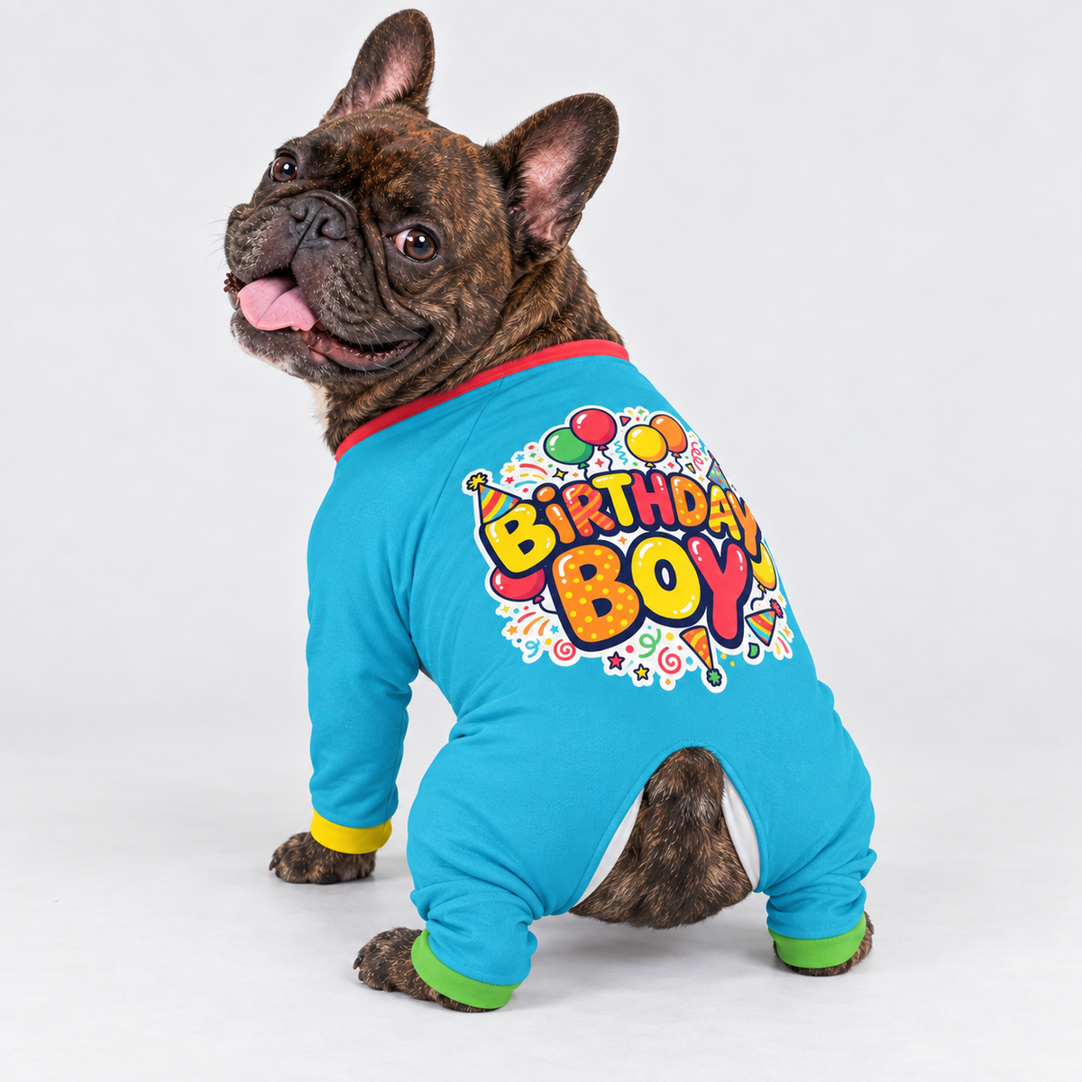 Birthday Party French Bulldog Pajamas - Soft Stretch Dog Sleepwear - hero view
