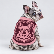 French Bulldog seated with its back toward camera and head looking right, wearing pet knit sweater design 04