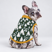 French Bulldog seated with its back toward camera and head looking right, wearing pet knit sweater design 06
