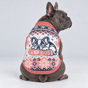 French Bulldog seated with back toward camera, head looking right, wearing pet knit sweater design 07