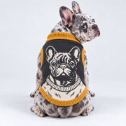 French Bulldog seated with back toward camera, head looking right, wearing pet knit sweater design 08