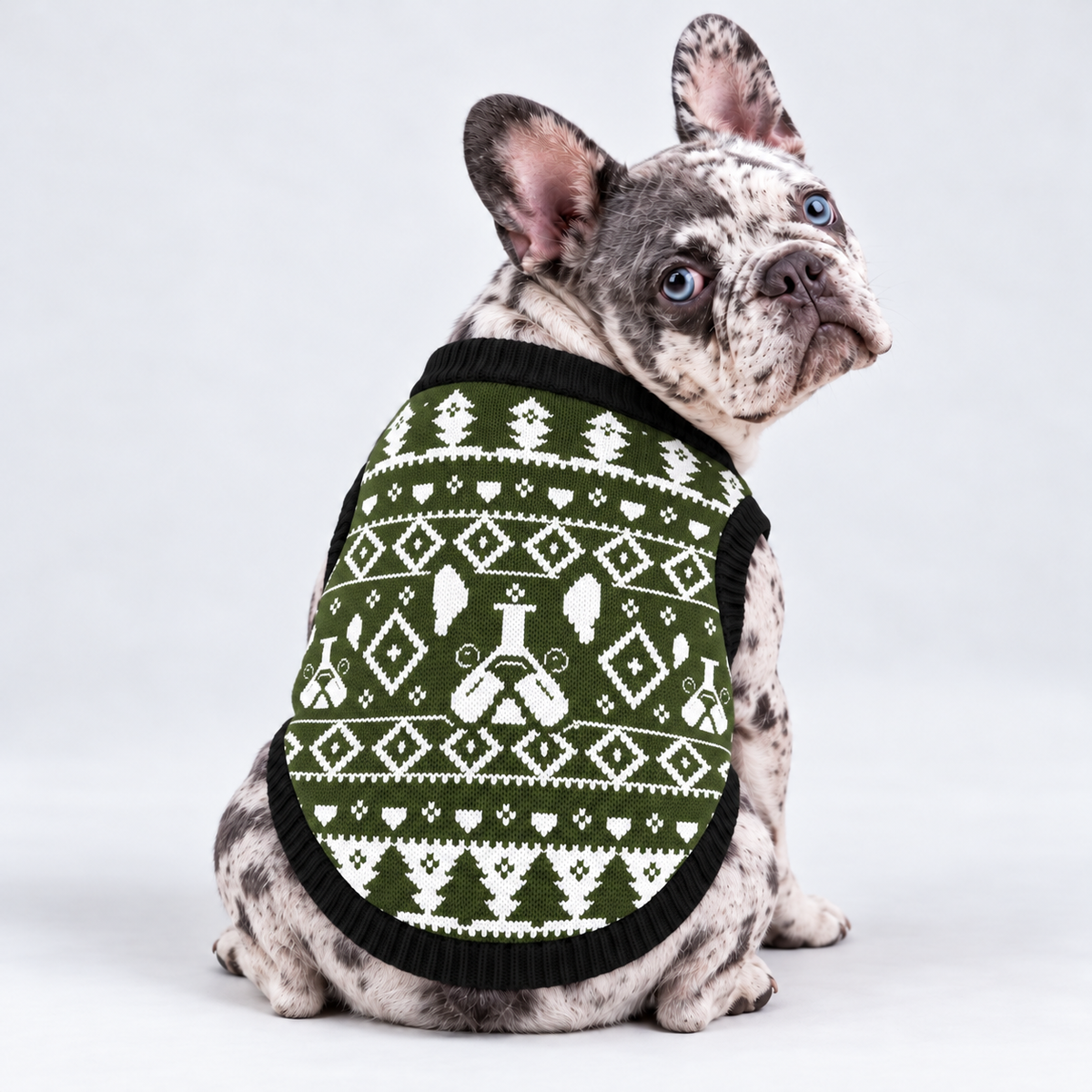 Merle French Bulldog seated with back toward camera and head looking right, wearing olive woodland pet knit sweater with black trim