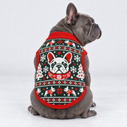 French Bulldog seated with back toward camera, head looking right, wearing pet knit sweater design 19