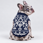 French Bulldog seated with back toward camera, head looking right, wearing pet knit sweater design 20