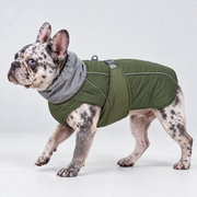 Reflective French Bulldog Winter Vest – Olive on merle French Bulldog