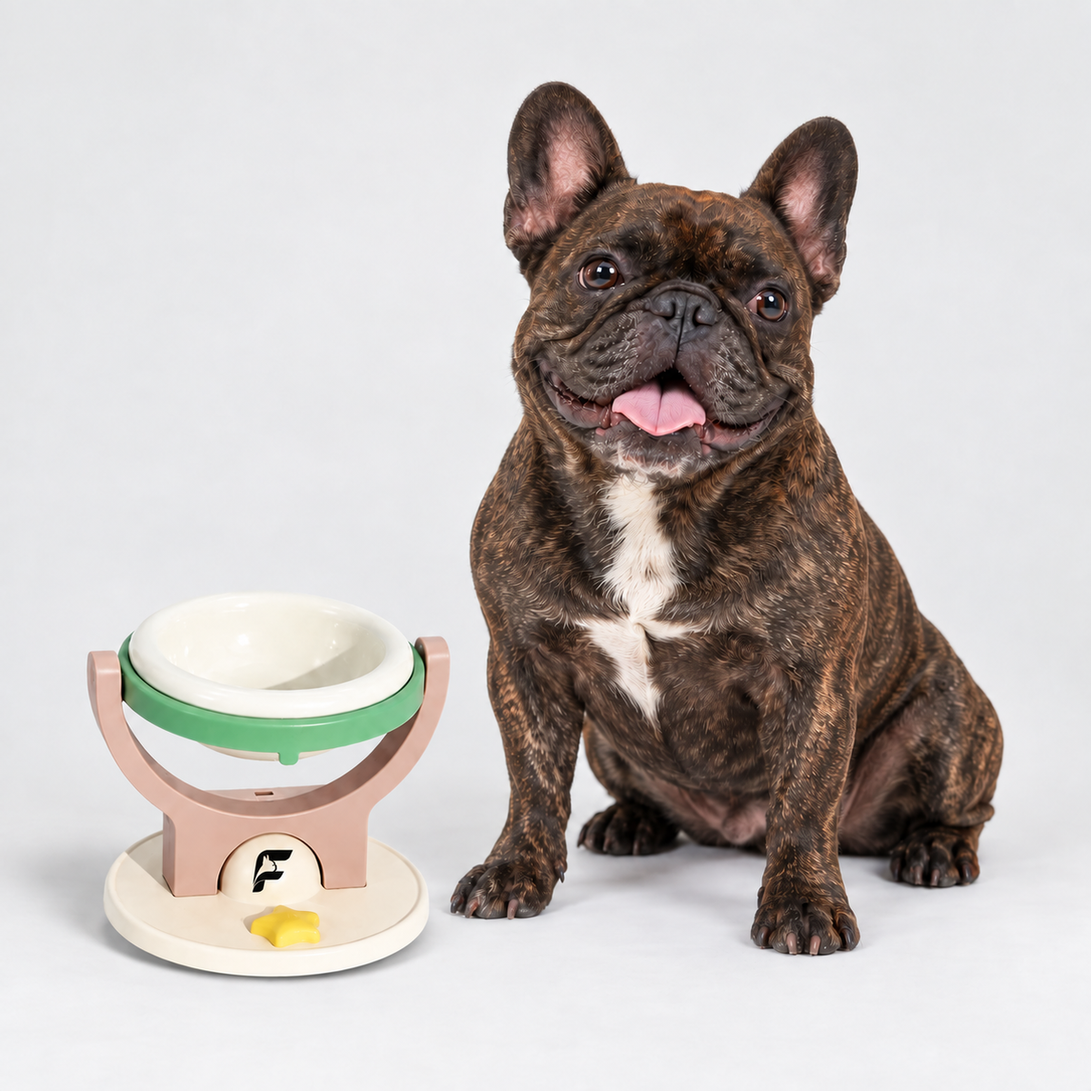 French Bulldog Elevated Bowl - Wall-Mounted & Freestanding