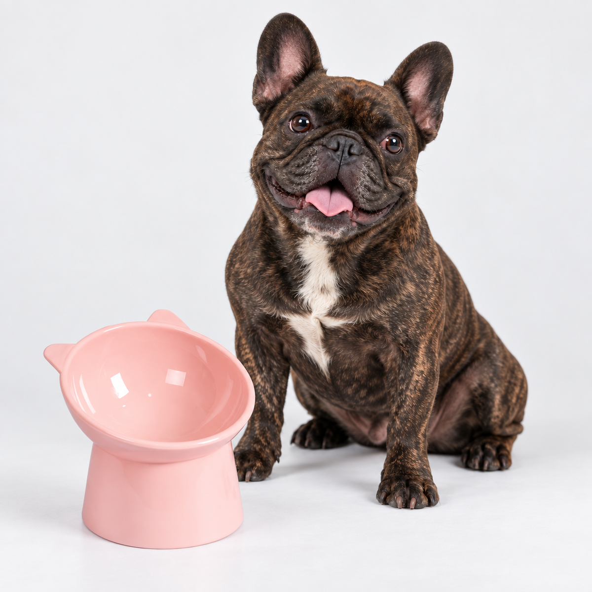 French Bulldog Tilted Elevated Food Bowl - Pastel Colors