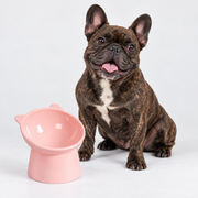 French Bulldog Tilted Elevated Food Bowl - Pastel Colors